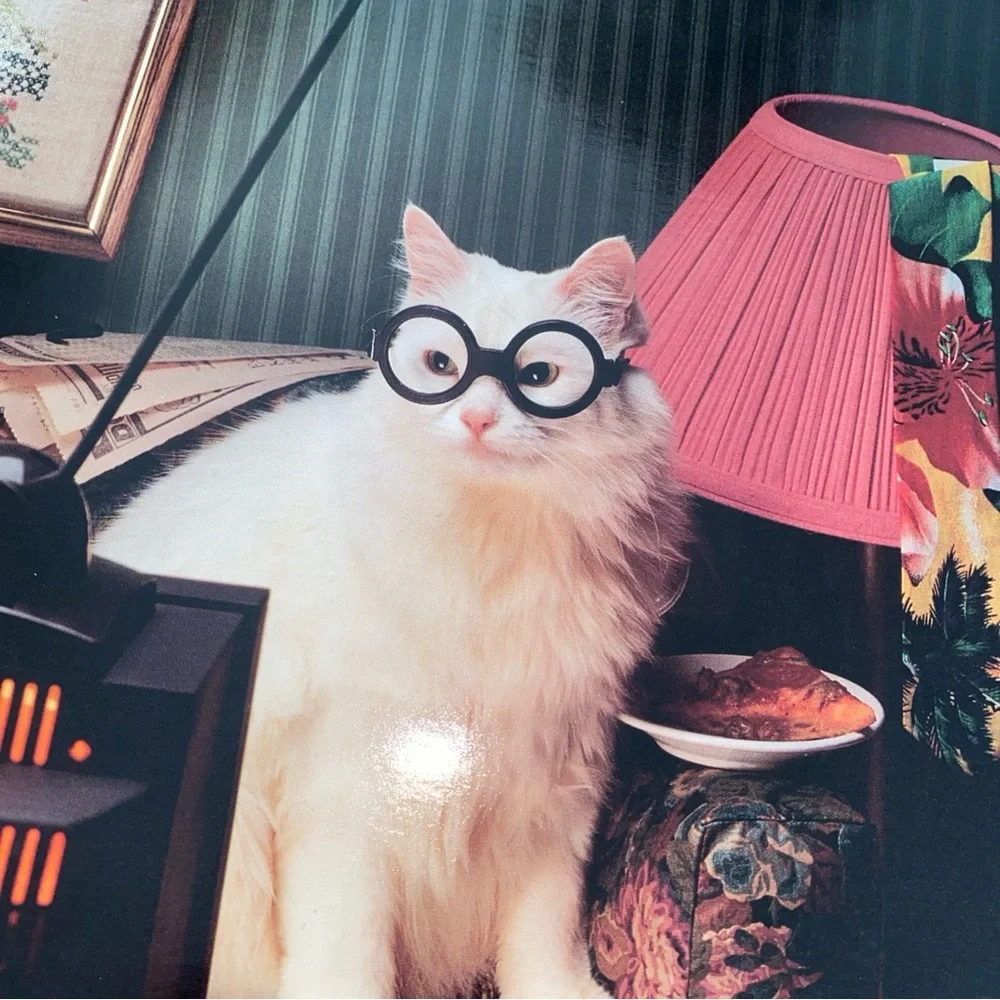 Vintage Pocket Ports! Union Camp Corporation Portfolio Folder‎ Cat Watching TV